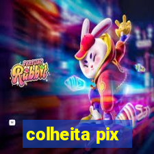 colheita pix